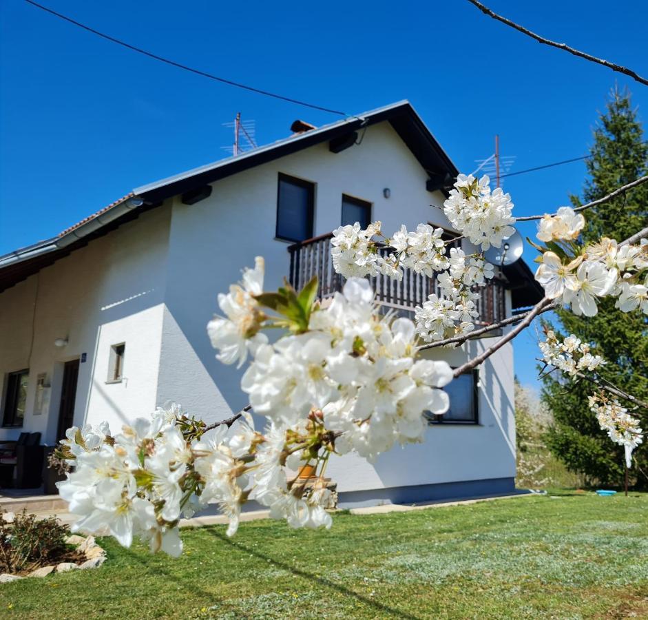 Apartment Charlie Seliste Dreznicko Luaran gambar